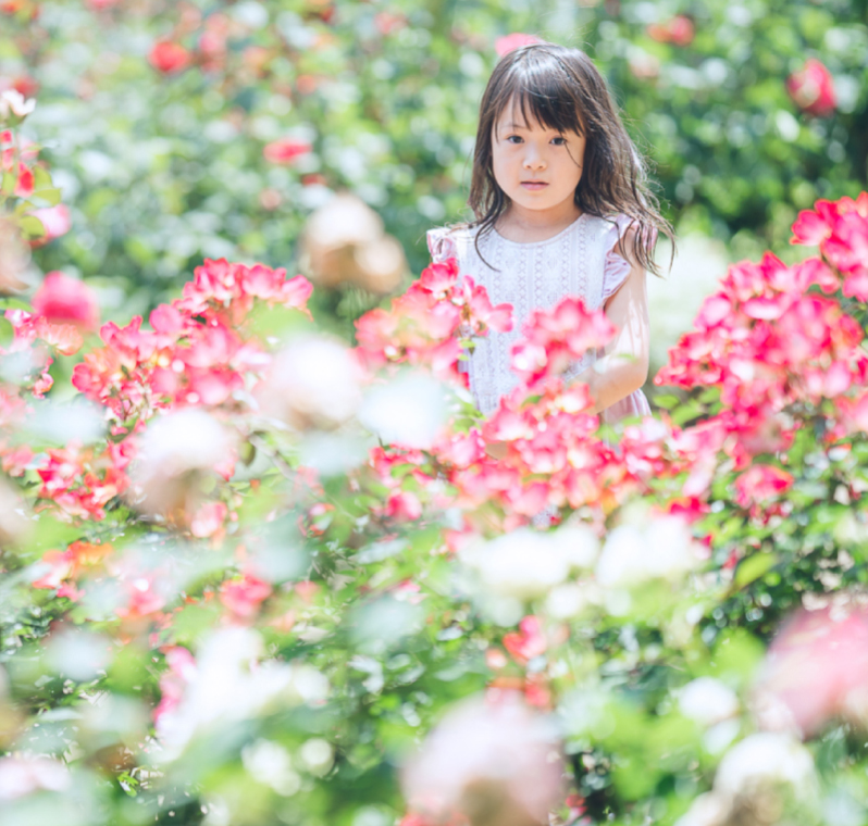 お問い合わせ背景画像