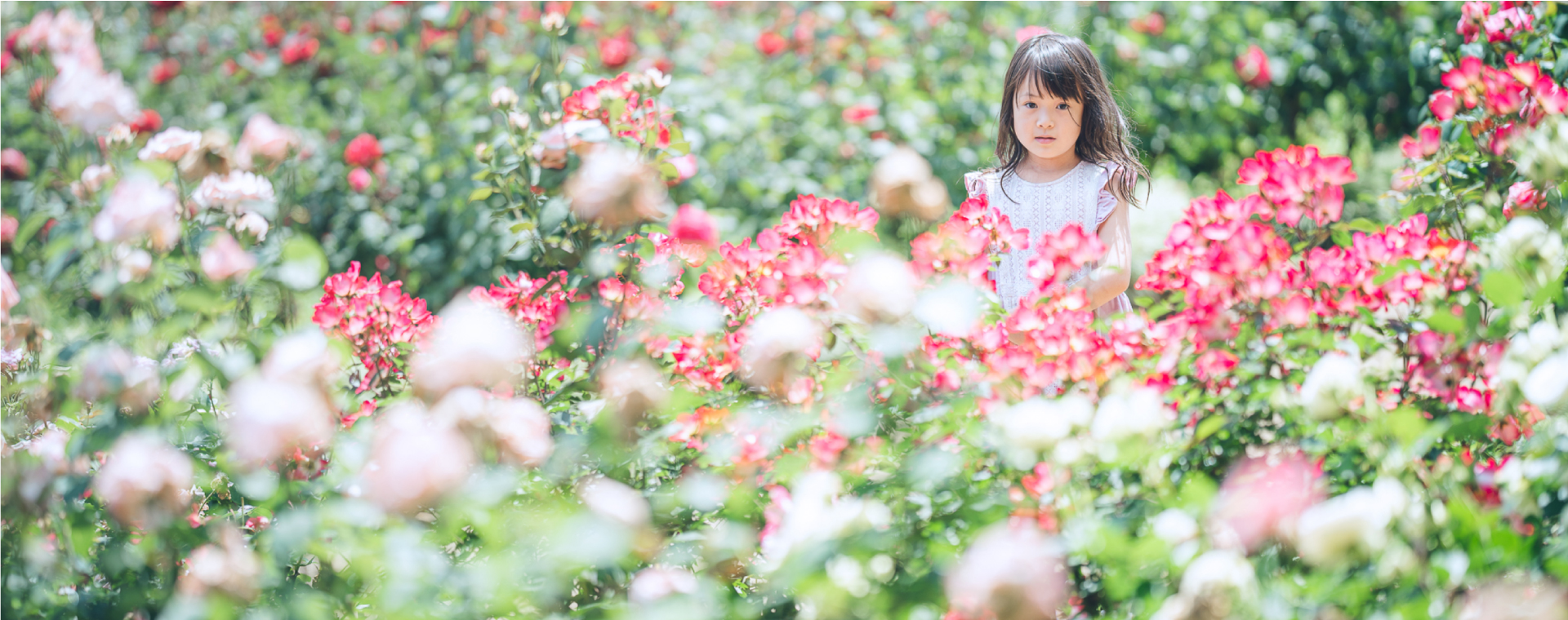 お問い合わせ背景画像